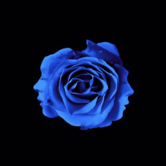 Cold(Feat.lil hwan,Oasis,HOUG!)(Prod.Tmlm)
