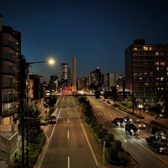 金木犀の夜（きのこ帝国cover）