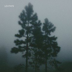 ambit. - levitate