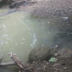 cicada - agony (yung lean cover)