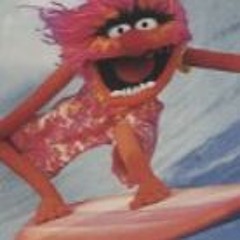 Wipe Out Song by Animal