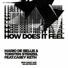 Mario De Bellis & Torsten Stenzel feat. Casey Keth - How Does It Feel (Allan McLoud Remix) snippet