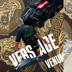 DEPUTAMADRE BMW F30 SPECIAL EDITION 1OF1 DJVERSACE_VENUM