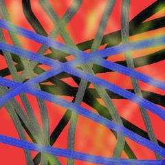 2021 06 05 ETUDE TRANCE TBC&FD