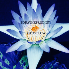 LOTUS FLOW