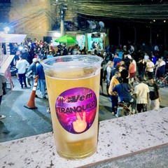 MTG - PUT4RIA NO COMPLEXO - DJ ND | 2024