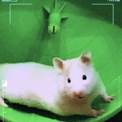 ATTACK.com