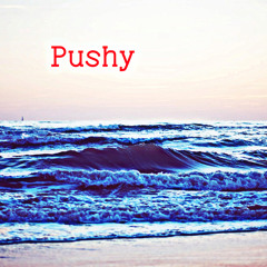 Pushy