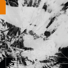 Munity podcast 005 - Diepzeebeest
