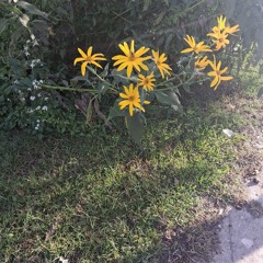 Fuzzy, something fuzzy and cold...