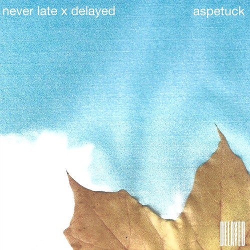 Never Late x Delayed: Aspetuck