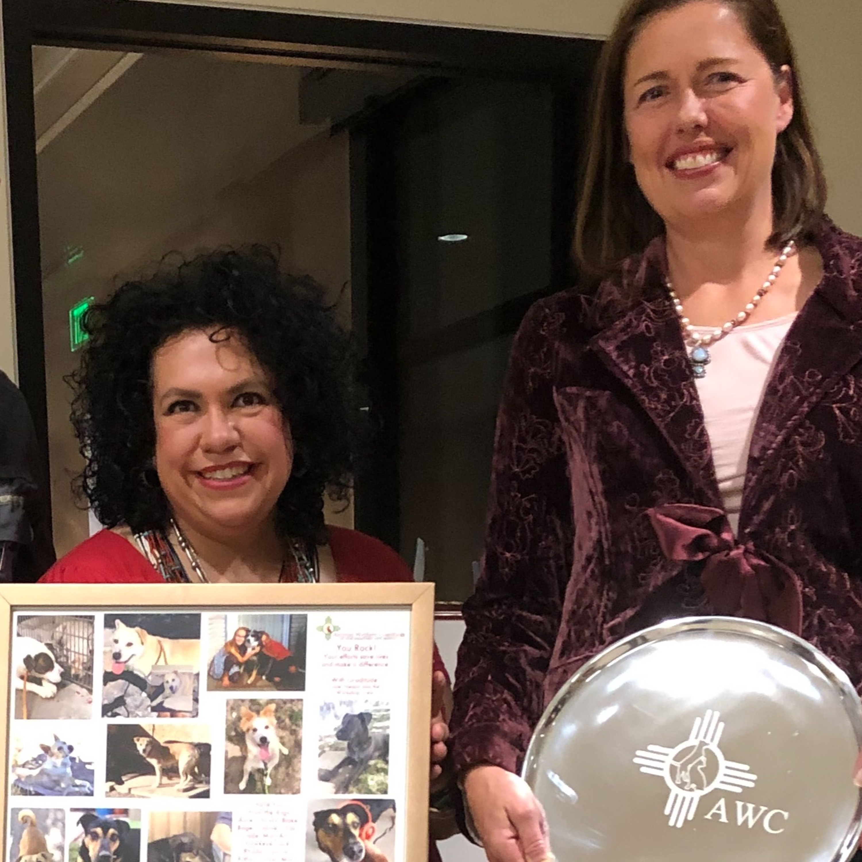 What Dogs Have Taught Me