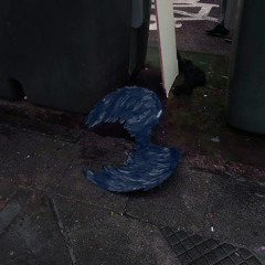 Falling wings (2018)