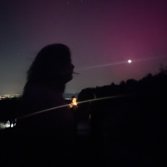 Summer Nights