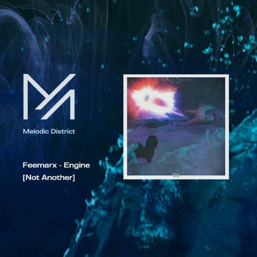 PREMIERE: Feemarx - Engine [Not Another]