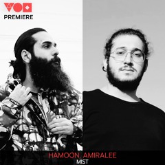 Premiere: Hamoon, Amiralee - Mist [My Choice Recordings]