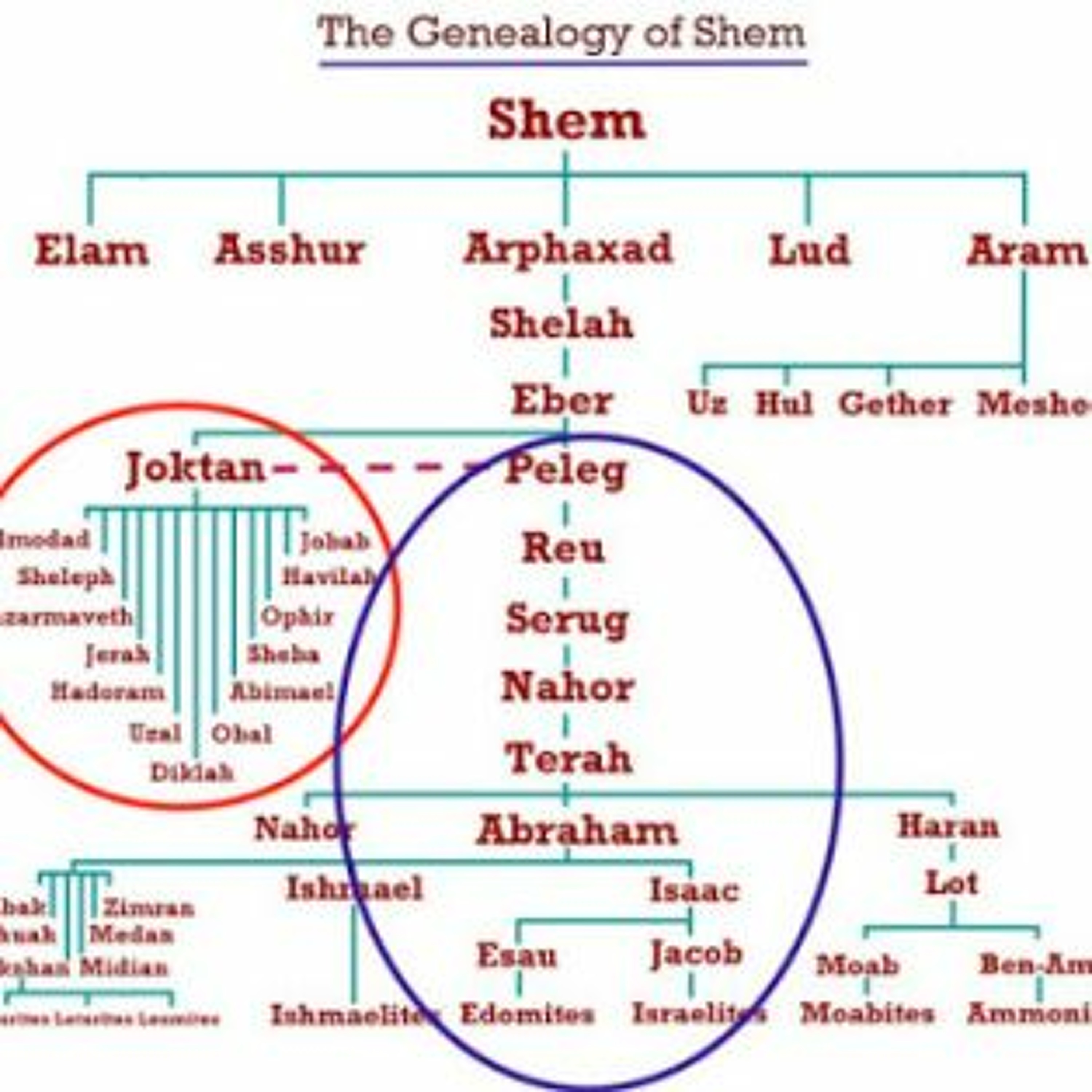 Genesis 11.10 - 32 - -From Shem To Abram episode artwork