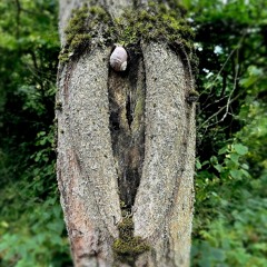 P1X1 - Gaps (Short Edit).mp3