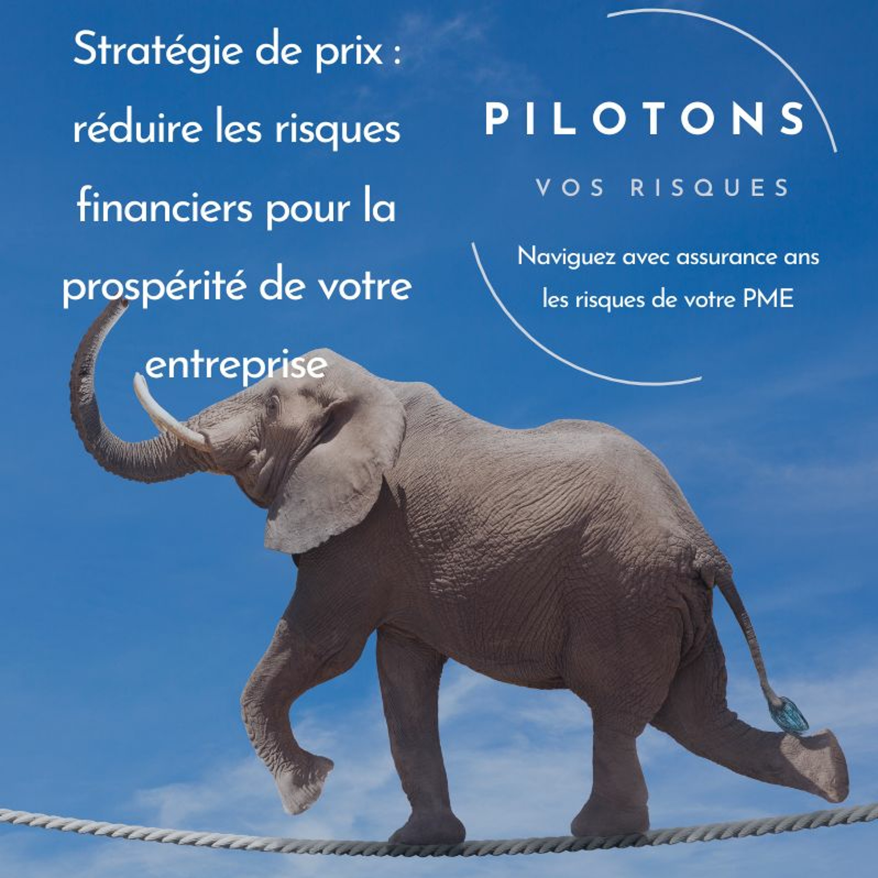 Stratégie de prix : réduire les risques financiers pour la prospérité de votre entreprise