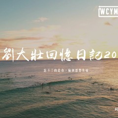 劉大壯 - 劉大壯回憶日記2020「忘不了的是你，痛到想要失憶」【動態歌詞/pīn yīn gē cí】