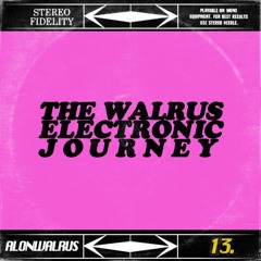 THE WALRUS ELECTRONIC JOURNEY 13