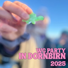 BOUNCY WG PARTY in Dornbirn [105 to 118bpm]