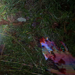 asi Slowcore cover na Final Girl, Hardesty