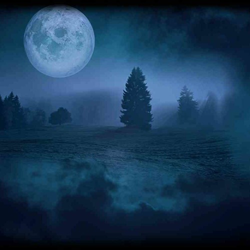 Bjørn Lynne - Ambient Enigma