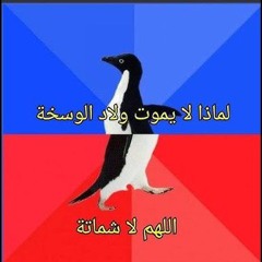 لماذا لا يموت ولاد الوسخة ؟