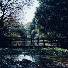 Log_20221122（demo）