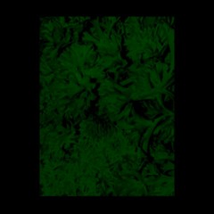 Le réveil de la bête