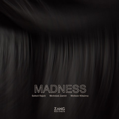 Madness - Soheil Rajab - Mehrdad Zamiri - Mehran Niksima