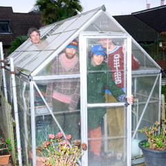 Dog Chocolate - 'Green Stuff'