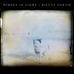 I woke up this morning