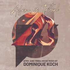 Dj Carnage23 - Afrohouse 08 2025