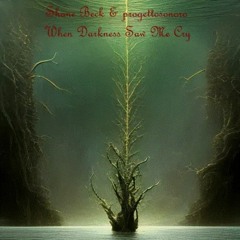 Shane Beck & progettosonoro - When Darkness Saw Me Cry