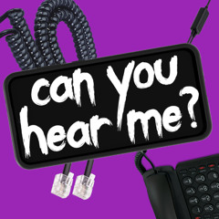 can you hear me?