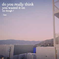 do you really think you wasted it on me though ?