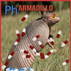 Pharmadillo (jam w/ Arrowbang and Alina Kano)