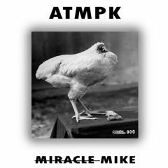 ATMPK-Our Last Summer, Part 2 /Miracle Mike EP //WOS127