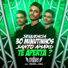 SEQUENCIA 30 MINUTINHOS SANTO AMARO TE APERTA ? [ DJ FERNANDINHO B20 ]