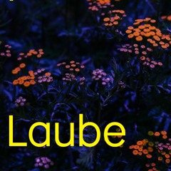 Live from Laube // NACHTI 25