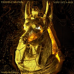 Thomas Xavier - You Let Meee (Original Mix)