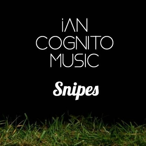 Ian Cognito - Snipes