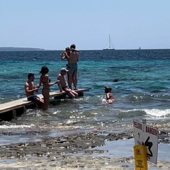 Ibiza summer vibes 2023 (live) @Sa Trinxa beach club - Ses Salines Ibiza