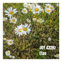 JOY 432Hz