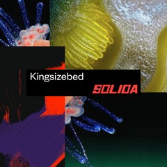 SOLIDA MIX 16 - Kingsizebed - 2.12.22
