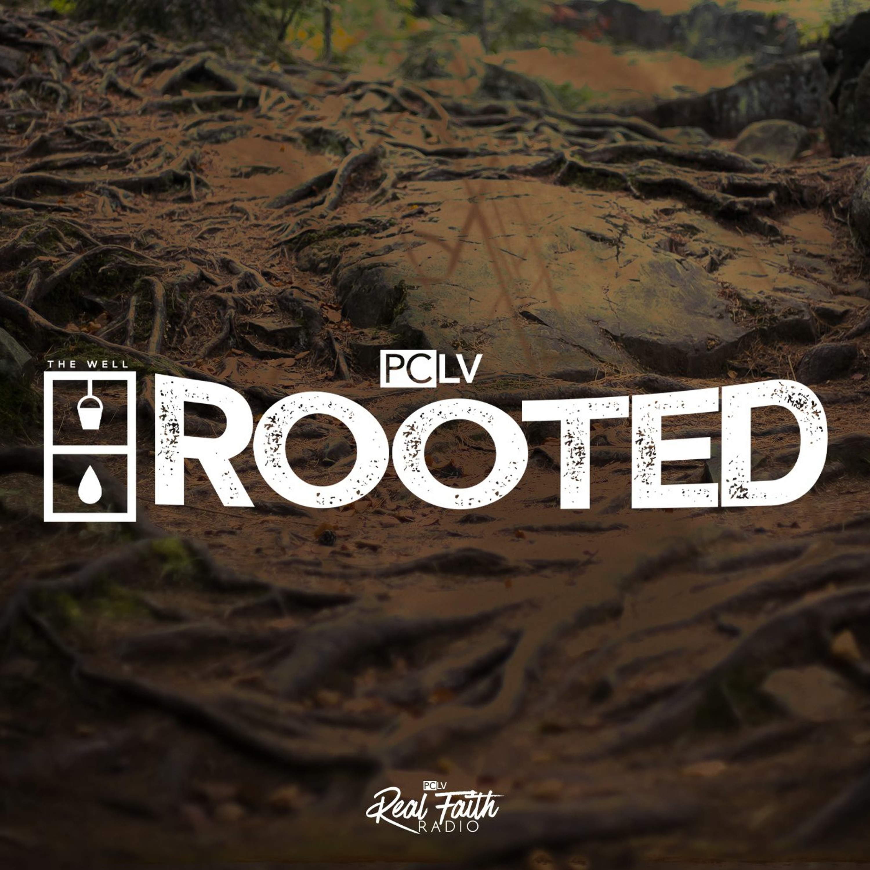"Deeply Rooted," Pastor Joe Naranjo | The Well 2022: Rooted episode artwork