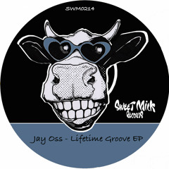Jay Oss - Once In A Lifetime Groove (Original Mix)