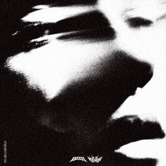 VECEIT X RAIDXN - STARGARDEN